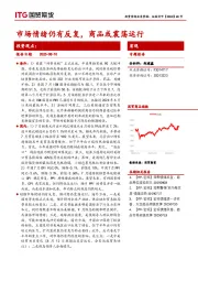 宏观专题报告：市场情绪仍有反复，商品或震荡运行