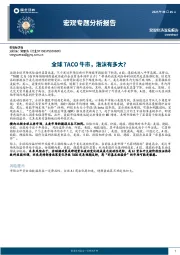 宏观专题分析报告：全球TACO牛市，泡沫有多大？