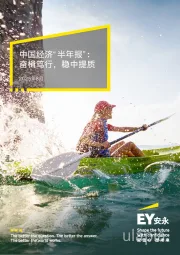 2025年8月中国经济“半年报”：奋楫笃行，稳中提质