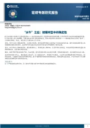 宏观专题研究报告：“水牛”之后：把握转型中的确定性