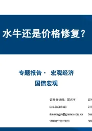 宏观经济专题报告：水牛还是价格修复？