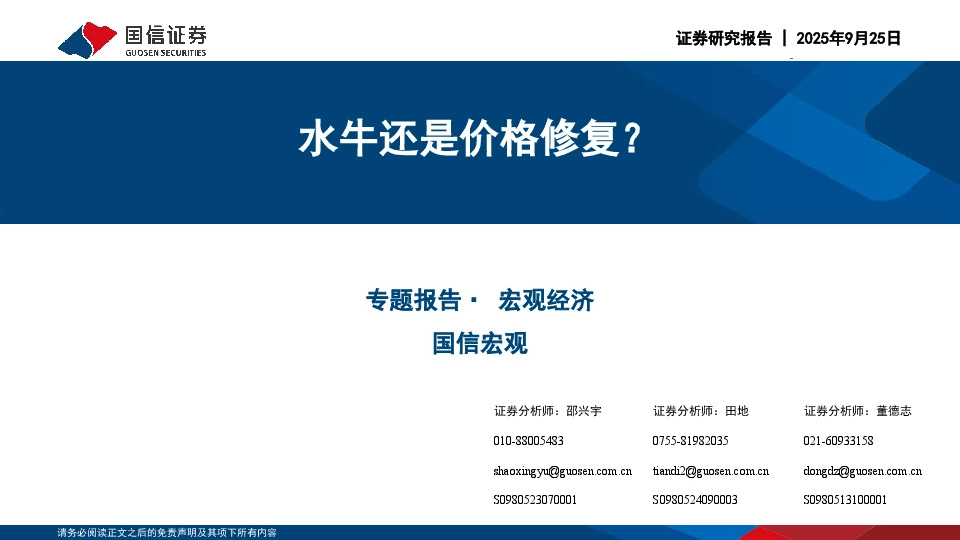 宏观经济专题报告：水牛还是价格修复？