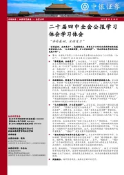 二十届四中全会公报学习体会学习体会：“夯实基础、全面发力”