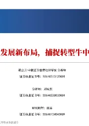 宏观报告：解码高质量发展新布局，捕捉转型牛中的投资机会