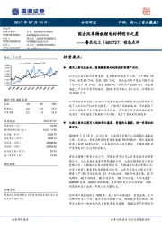 动态点评：国企改革铸就锂电材料明日之星