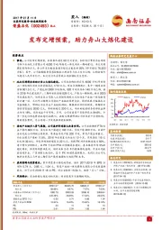 发布定增预案，助力舟山大炼化建设