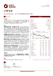 设立合资公司，进一步拓展锂电材料产能