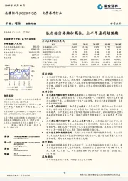 钛白粉价格维持高位，上半年盈利超预期