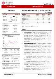 公司调研点评：制药业务维持快速增长势头，地产项目结算较少