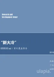首次覆盖报告:冷链先锋“新大冷”