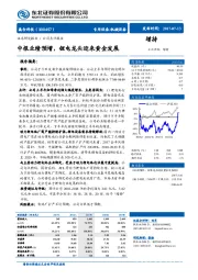 中报业绩预增，锂电龙头迎来黄金发展