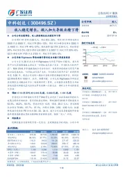 收入稳定增长，投入加大导致业绩下滑