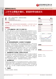 蓝思科技点评报告：上半年业绩稳定增长，新趋势带动新成长