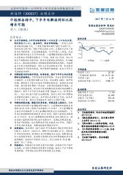 业绩点评：中报预告持平，下半年电解液同环比高增长可期