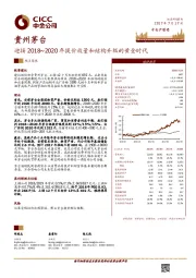 迎接2018~2020年提价放量和结构升级的黄金时代