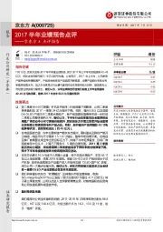 京东方A点评报告：2017半年业绩预告点评