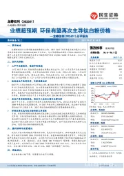 点评报告：业绩超预期 环保有望再次主导钛白粉价格