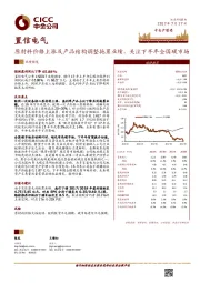 原材料价格上涨及产品结构调整拖累业绩，关注下半年全国碳市场