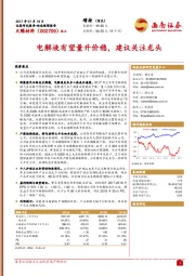 电解液有望量升价稳，建议关注龙头