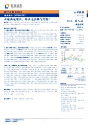 业绩高速增长,种业龙头腾飞可期!