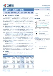 拟收购高端特种纸龙头，全球化战略价值凸显