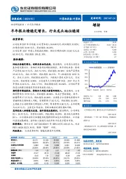 半年报业绩稳定增长，行业龙头地位稳固