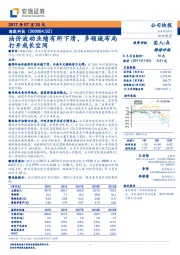 油价波动业绩有所下滑，多领域布局打开成长空间