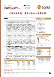 产品增速放缓，费用投放加大拖累业绩