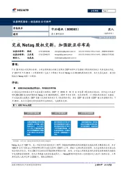 完成Netas股权交割，加强欧亚非布局