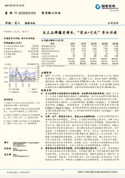 自主品牌爆发增长，“实业+文化”齐头并进