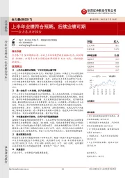 合力泰点评报告：上半年业绩符合预期，后续业绩可期