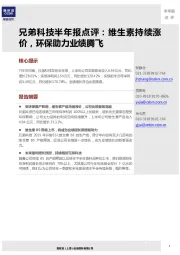兄弟科技半年报点评:维生素持续涨价,环保助力业绩腾飞