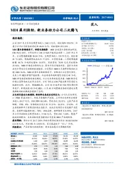 MDI盈利强劲，新业务助力公司二次腾飞