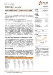 半年报业绩增长超预期，低估值白马龙头风范再续