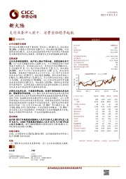 支付业务冲入前十，消费金融稳步起航