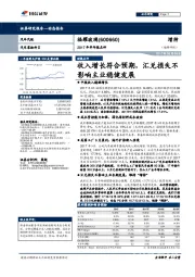 收入增长符合预期，汇兑损失不影响主业稳健发展