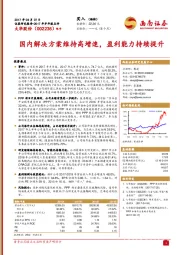 国内解决方案维持高增速，盈利能力持续提升