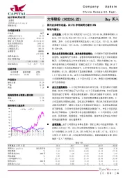 国内业务增长迅猛，2017H1净利润同比增长39%