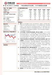 中报业绩稳定符合预期，下半年电解液加速放量