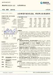 业务转型升级初见成效，新材料业务高速增长