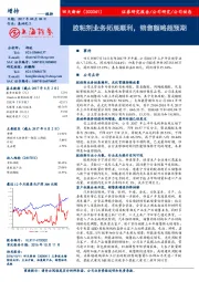 胶粘剂业务拓展顺利,销售额略超预期