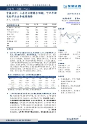 中报点评：上半年业绩符合预期，下半年锂电化学品业务值得期待