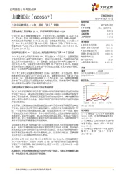 上半年业绩增长4.5倍，维持“买入”评级