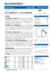 M2M终端领先企业，内生外延拓展市场