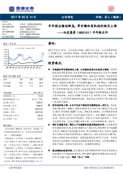 半年报点评：半年报业绩创新高，草甘膦和有机硅价格齐上涨