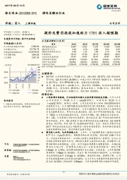 提价及费用投放加速助力17H1收入超预期