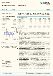 战略布局加速落地，期待系列产品全线放量