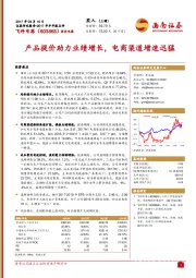 产品提价助力业绩增长，电商渠道增速迅猛