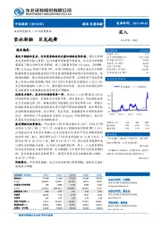 公司深度报告：坚冰渐融 巨龙起舞