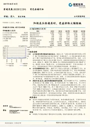 阳极龙头恰逢其时，受益供给大幅短缺